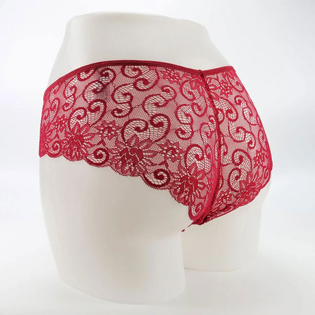 Women Full Lace Mesh Panty Transparent Floral Embroidery Sexy Briefs Ladies Summer Low Rise Breathable Seamless Underwear New