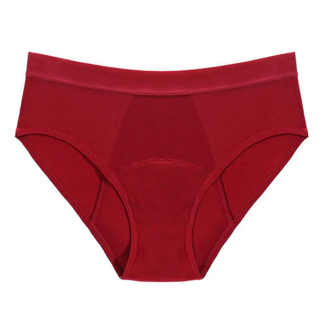 4-Layer Leakproof Menstrual Period Panties Fast Absorbent Underwear Sexy Lace Women Menstrual Briefs Plus Size Lingerie 5XL 6XL
