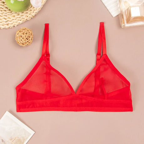 Sexy Transparent Ladies' Brassiere Three-piece Women's Bra Small Bust Mesh Lingerie Ultra-thin Triangle Double Shoulder Straps