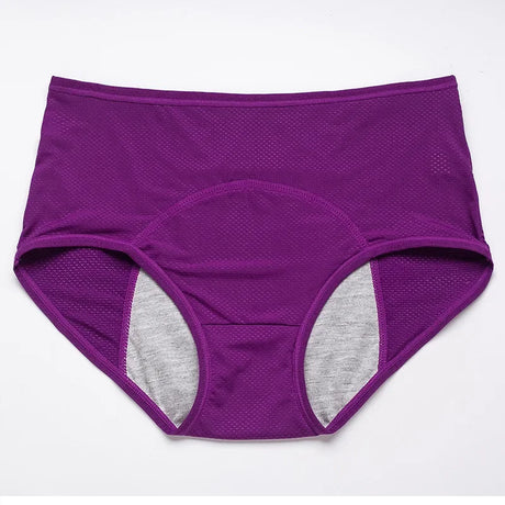 2pcs Women's Physiological Briefs Girl Menstrual Panties Ladies Period Leak Proof Panty Mid Waist Ice Silk Underwear