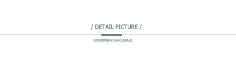 5 PCS/SET New Arrival Low Rise Ladies Sexy Lace Panty Underpants Panties For Women Lingerie Cotton Briefs