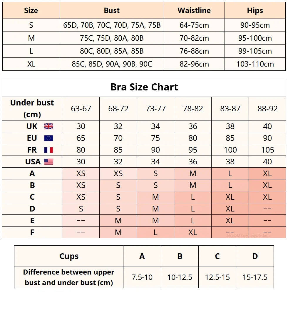 Women Sexy See Through Lace Bra Set Elegant Perspective Bikini Thong Set French Style Erotic Push Up Underwear Bra Panty Sets