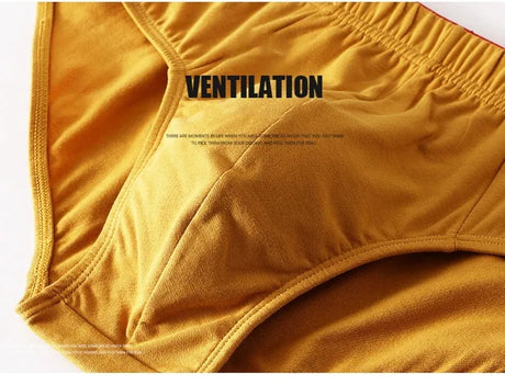 1/3 PCS Solid Cotton Briefs Men's Convex Pouch Panties Youth Fasion Low Rise Breathable Men's Comfortable Underwear Solid Color