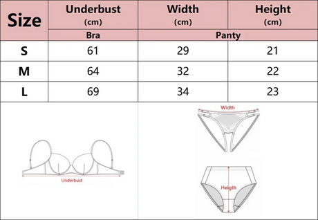 Women Sexy See Through Lace Bra Set Elegant Perspective Bikini Thong Set French Style Erotic Push Up Underwear Bra Panty Sets