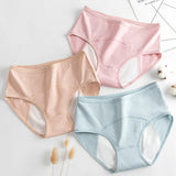 Leakproof Women Panties 3XL 4XL Waterproof Menstrual Underwear Heavy Absorbency Physiological Period Briefs Incontinence