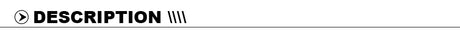 Sexy Hot Rosy Leather Customized Name Letters Collar Choker Necklace DIY Personalized Cosplay Buckle Belt Chocker Jewelry Gift