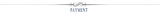 Halloween Witch Costumes for Women Adult Fantasy Black  Dress UP Party  Carnival Performance