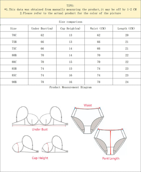 High quality flower embroidery craft lingerie semi transparent sexy set lace 2-piece set white set MR3449