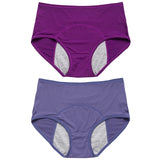 2pcs Women's Physiological Briefs Girl Menstrual Panties Ladies Period Leak Proof Panty Mid Waist Ice Silk Underwear