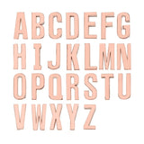 30MM Goth Sexy Rose Gold Letters Custom Collar Choker Necklaces Men Women BDSM Role Age Cosplay Chocker Customized Jewelry