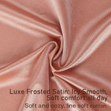 6pcs Women's Seamless Luxury Satin Briefs Mid-Waist Ruffle Mulberry Silk Butt-Lifting Panties Skin-Friendly Crotch, Sexy, Stretchy UnderWear for Women Plus Size