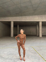 Y2k Hot Girl New Long Sleeve Bodycon Leopard Print Women Jumpsuit Sexy Sheer Mesh Bodysuits Catsuit Party Clubwear