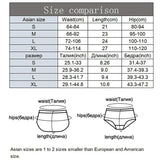 Women's Panties Sexy Lace Transparent Underwear Hollow Out Female Low Waist Briefs Breathable Lingerie Intimates Underpants