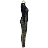 Y2k Hot Girl New Long Sleeve Bodycon Leopard Print Women Jumpsuit Sexy Sheer Mesh Bodysuits Catsuit Party Clubwear
