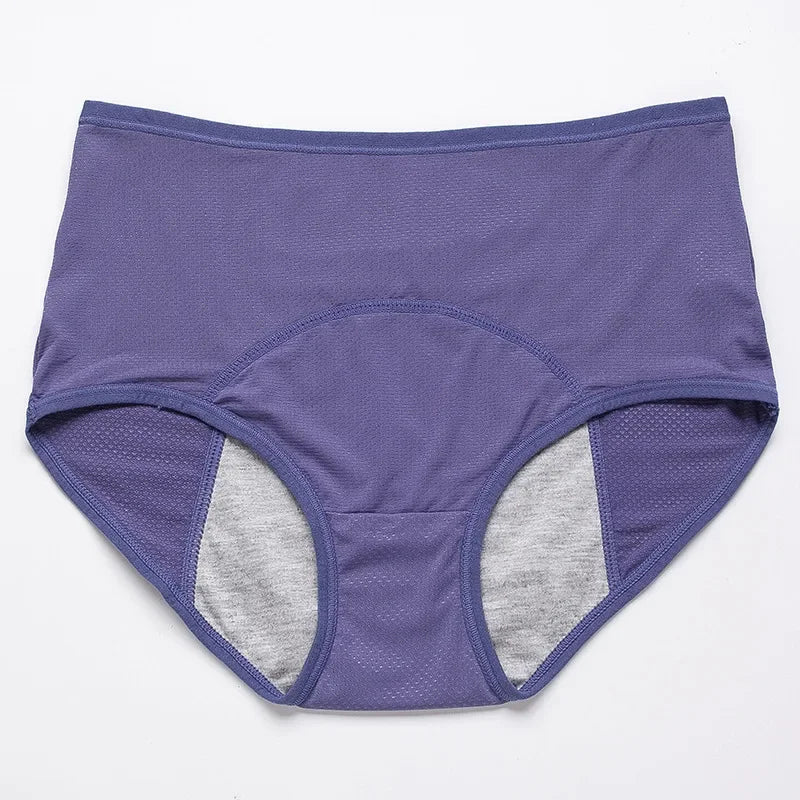 2pcs Women's Physiological Briefs Girl Menstrual Panties Ladies Period Leak Proof Panty Mid Waist Ice Silk Underwear