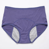 2pcs Women's Physiological Briefs Girl Menstrual Panties Ladies Period Leak Proof Panty Mid Waist Ice Silk Underwear