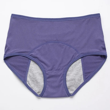 2pcs Women's Physiological Briefs Girl Menstrual Panties Ladies Period Leak Proof Panty Mid Waist Ice Silk Underwear