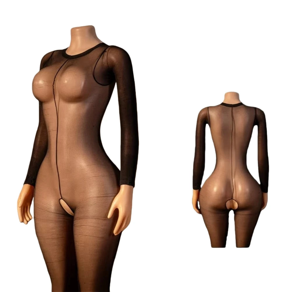 Sexy Tearable Net Bodysuit, Interactive Wearable Clothing, Full Coverage Body Suit, Erotic Lingerie, Transparent Mesh Jumpsuit