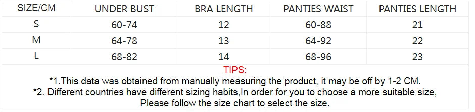 Fairy Lingerie Set Underwire Transparent Lace Bra Panty Floral Underwear for Women