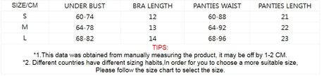 Fairy Lingerie Set Underwire Transparent Lace Bra Panty Floral Underwear for Women