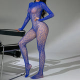 Sexy Lace See-Through Bodysuit Long Sleeve Fishnet Jumpsuits Elastic Night Club Jump Suits for Women Sexy Pole Dancing Overalls