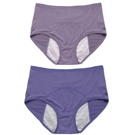 2pcs Women's Physiological Briefs Girl Menstrual Panties Ladies Period Leak Proof Panty Mid Waist Ice Silk Underwear