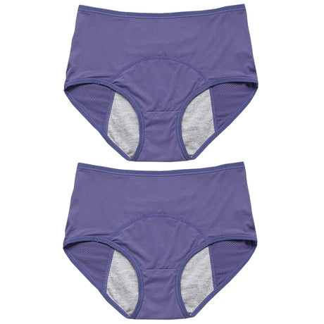 2pcs Women's Physiological Briefs Girl Menstrual Panties Ladies Period Leak Proof Panty Mid Waist Ice Silk Underwear