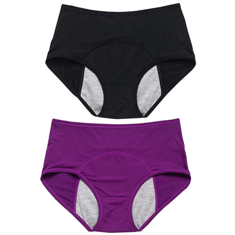 2pcs Women's Physiological Briefs Girl Menstrual Panties Ladies Period Leak Proof Panty Mid Waist Ice Silk Underwear