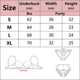 Transparent Floral Two Pieces Exquisite Lace Lingerie Set Ultrathin Bra Briefs Set Solid Exotic Lingerie for Ladies See Through