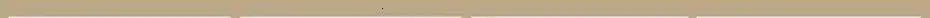 Sexy Metal Rhinestone Corset Crop Top Women Summer Club Party tops Woman Clothing See through Beach Halter Tank Top Streetwear