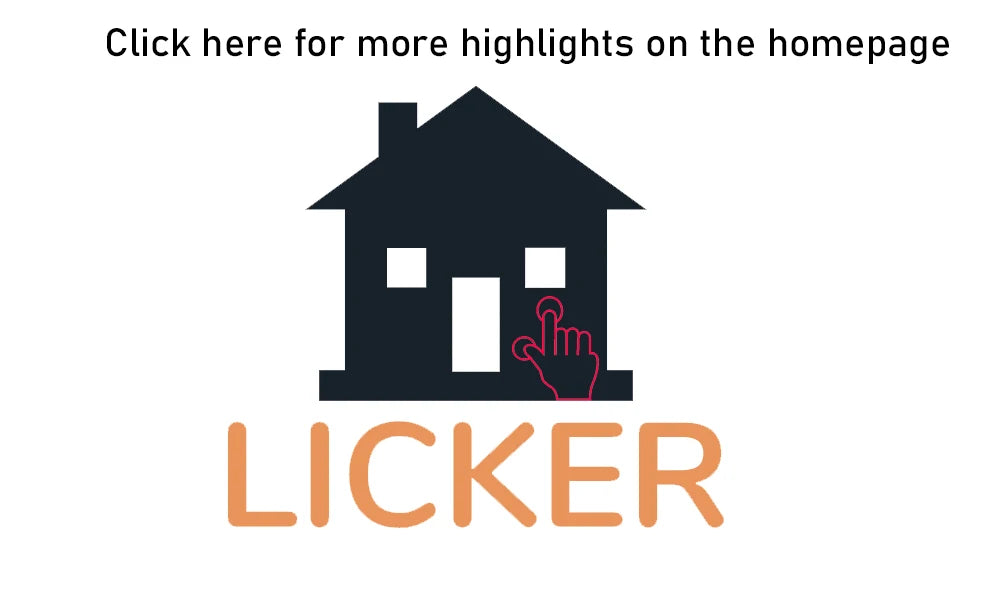 LICKER ABS Simulated Labia Cross-dresser Chastity Cage With loyalty Belt Wear Abstinence BDSM Penis Bondage Toys For Sissy Men