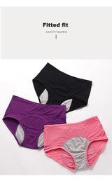 2pcs Women's Physiological Briefs Girl Menstrual Panties Ladies Period Leak Proof Panty Mid Waist Ice Silk Underwear
